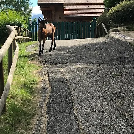 Chalet Le Nant Blanc 게스트하우스 *